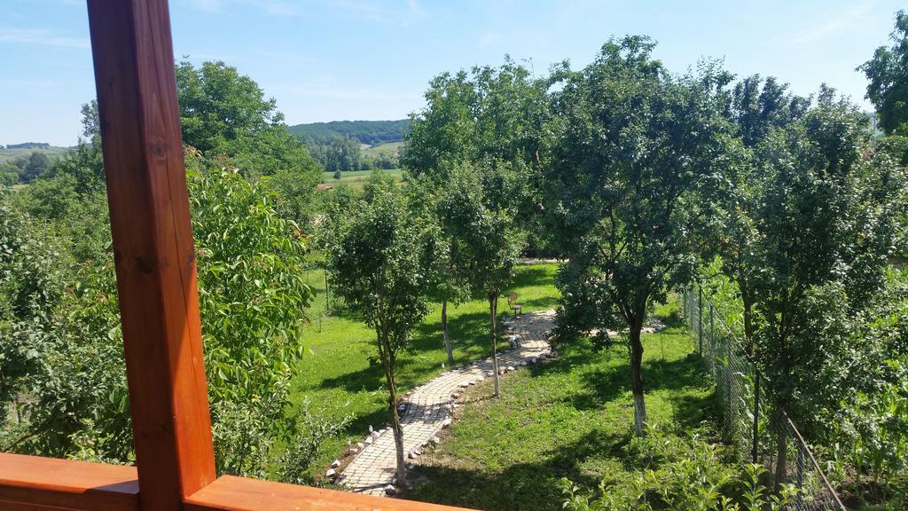 Casa Agnes Vendeghaz Hotel Fantanele  Екстериор снимка