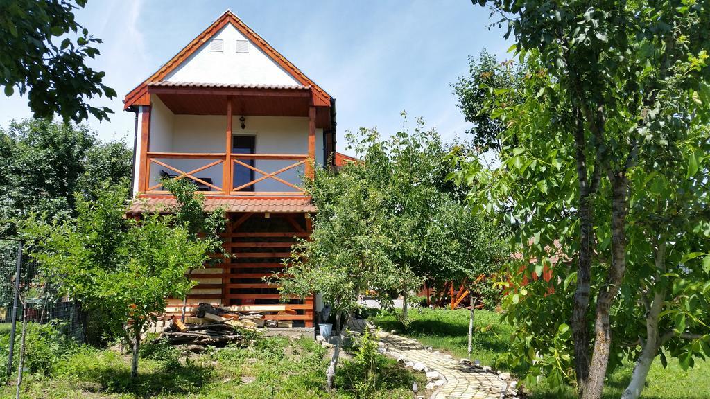 Casa Agnes Vendeghaz Hotel Fantanele  Екстериор снимка