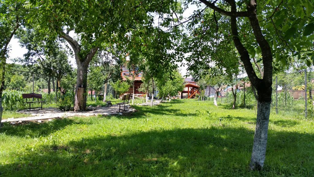 Casa Agnes Vendeghaz Hotel Fantanele  Екстериор снимка