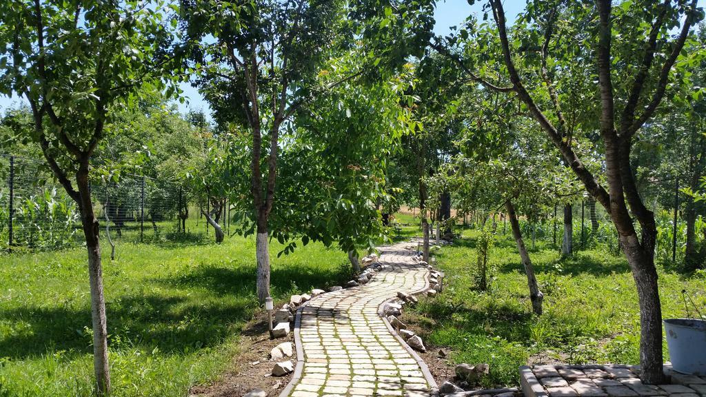 Casa Agnes Vendeghaz Hotel Fantanele  Екстериор снимка
