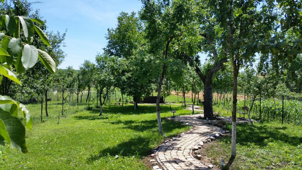 Casa Agnes Vendeghaz Hotel Fantanele  Екстериор снимка