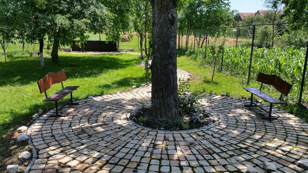 Casa Agnes Vendeghaz Hotel Fantanele  Екстериор снимка
