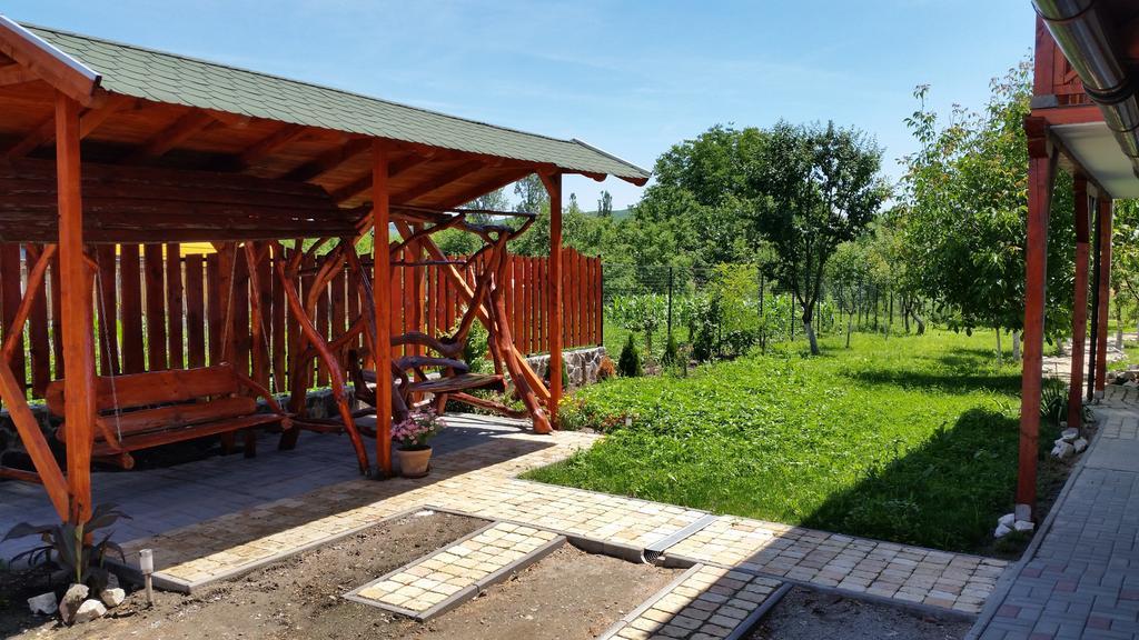 Casa Agnes Vendeghaz Hotel Fantanele  Екстериор снимка