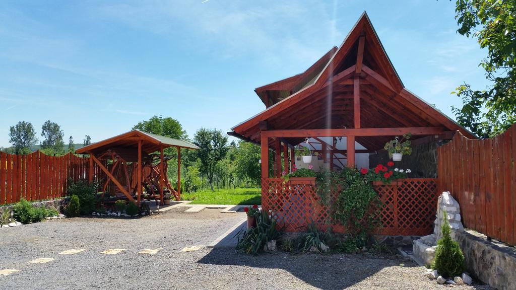 Casa Agnes Vendeghaz Hotel Fantanele  Екстериор снимка