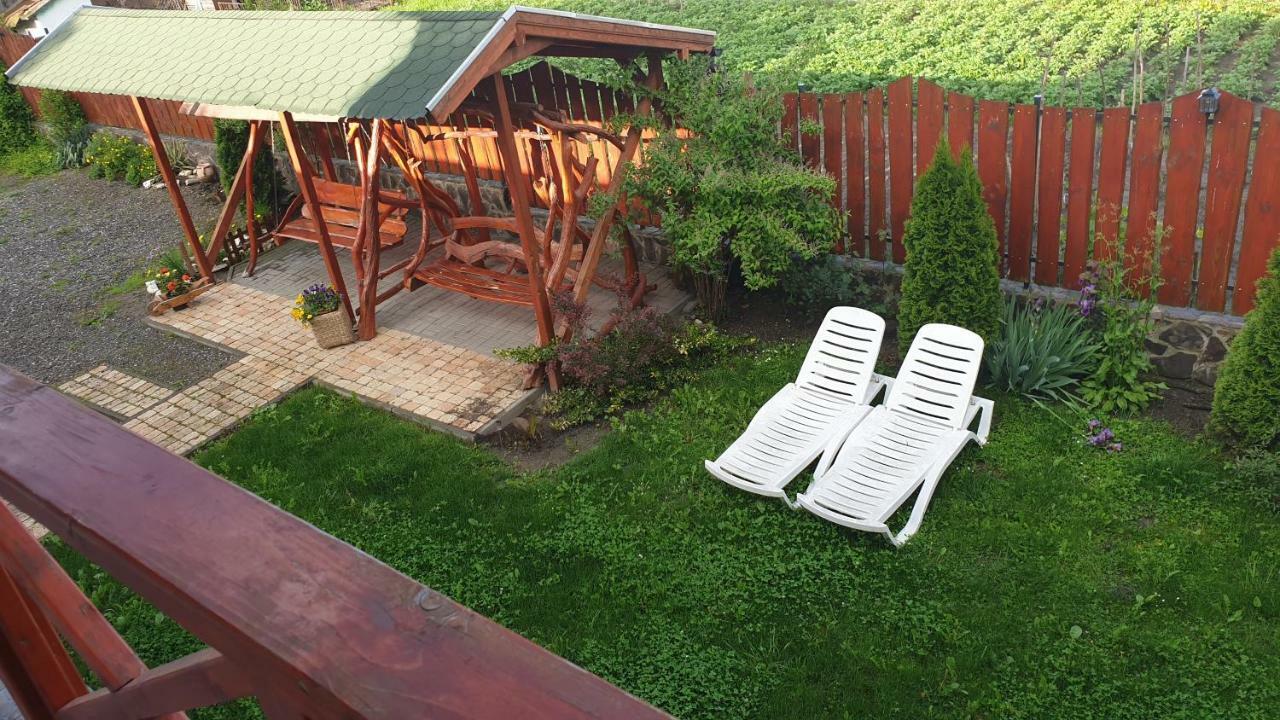 Casa Agnes Vendeghaz Hotel Fantanele  Екстериор снимка
