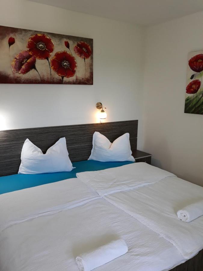 Casa Agnes Vendeghaz Hotel Fantanele  Екстериор снимка